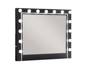 Eleanor Rectangular Mirror with Light in Black and Silver