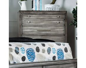 Furniture of America Daphne Chest in Gray