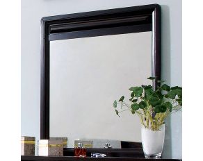 Furniture of America Yorkville Mirror in Espresso Finish