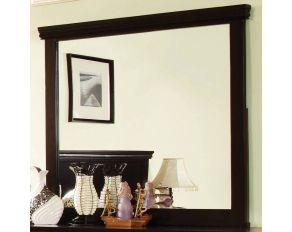 Furniture of America Pebble Mirror in Espresso Finish