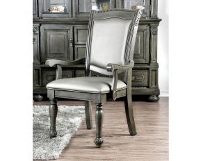 Alpena Set of 2 Arm Chairs in Gray Silver