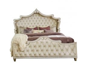 Antonella King Upholstered Panel Bed in Champagne