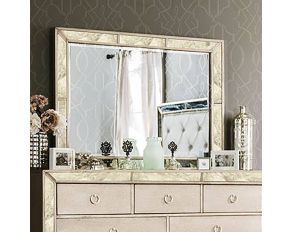 Furniture of America Loraine Mirror in Champagne Finish