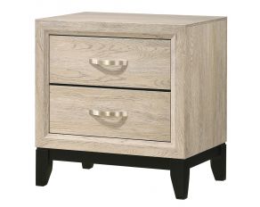 Akerson 2 Drawer Nightstand in Drift Wood