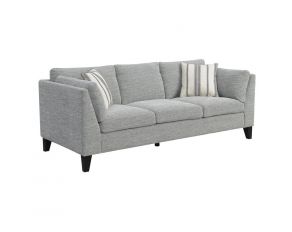 Elsbury Sofa with 2 Accent Pillows in Gray