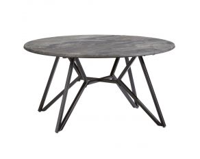 Ember Cocktail Table in Paladina Gray