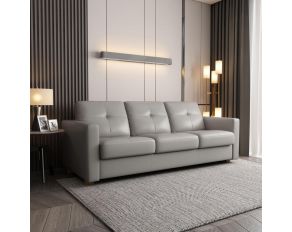 Noci Sleeper Sofa in Gray