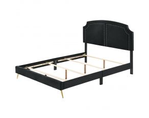 Zeena Queen Upholstered Bed in Black Finish