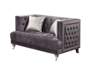 Hegio Loveseat with 2 Pillows in Gray