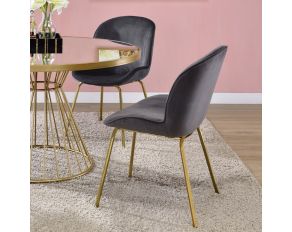 Chuchip Set of 2 Sides Chairs in Gray and Gold