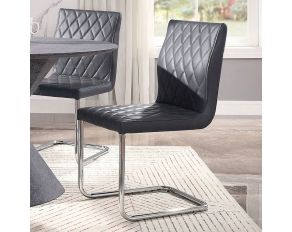 Ansonia Set of 2 Sides Chairs in Gray