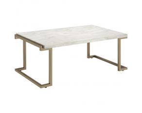 Boice II Coffee Table with Faux Marble Top in Champagne