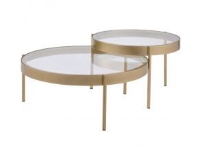 Andover 2-Piece Nesting Coffee Table with Clear Glass Top in Gold Finish