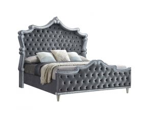 Antonella Upholstered Queen Bed in Grey