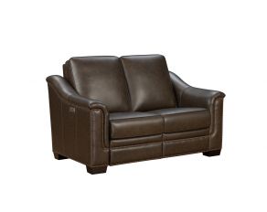 Chapel Hill Power Reclining Loveseat in Toscani Antique Walnut