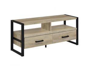 James 2 Drawer 48 Inch TV Stand in Antique Pine