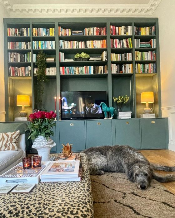 Styling and Organizing Bookcases