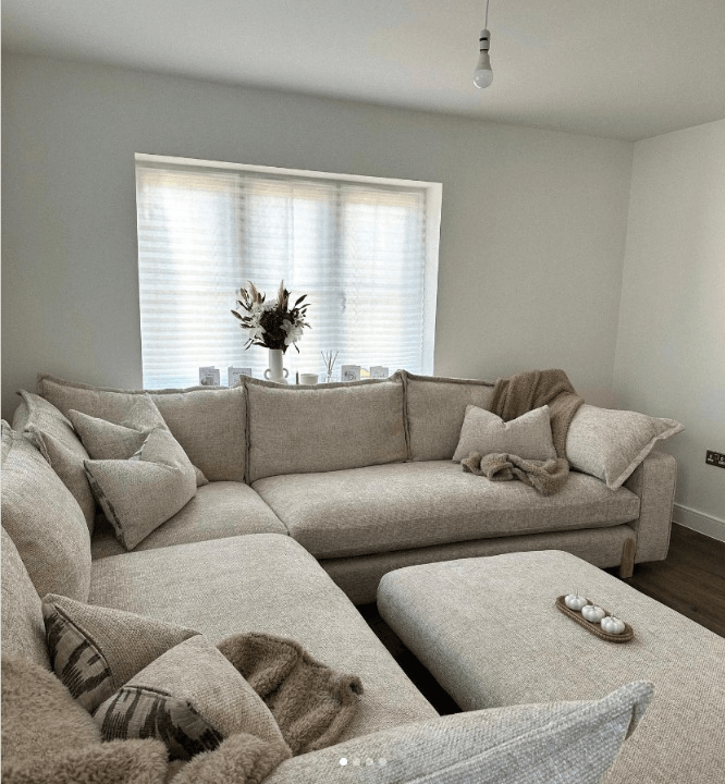 cozy living room with sleeper sofas