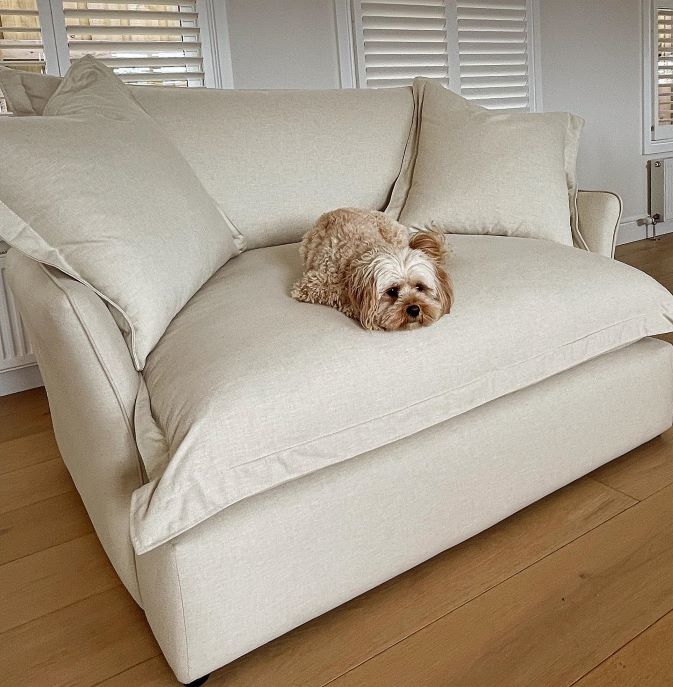 white loveseat with a dog